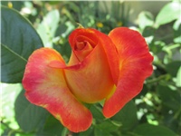 1ab32582-Picture 1148.jpg